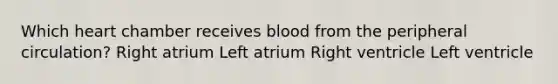 Which heart chamber receives blood from the peripheral circulation? Right atrium Left atrium Right ventricle Left ventricle