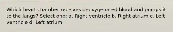 Which heart chamber receives deoxygenated blood and pumps it to the lungs? Select one: a. Right ventricle b. Right atrium c. Left ventricle d. Left atrium