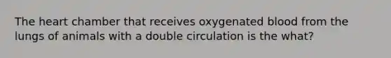 The heart chamber that receives oxygenated blood from the lungs of animals with a double circulation is the what?