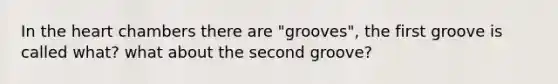 In the heart chambers there are "grooves", the first groove is called what? what about the second groove?