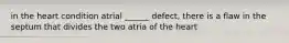 in the heart condition atrial ______ defect, there is a flaw in the septum that divides the two atria of the heart