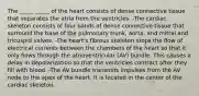 The _____ _____ of the heart consists of dense connective tissue that separates the atria from the ventricles. -The cardiac skeleton consists of four bands of dense connective tissue that surround the base of the pulmonary trunk, aorta, and mitral and tricuspid valves. -The heart's fibrous skeleton stops the flow of electrical currents between the chambers of the heart so that it only flows through the atrioventricular (AV) bundle. This causes a delay in depolarization so that the ventricles contract after they fill with blood. -The AV bundle transmits impulses from the AV node to the apex of the heart. It is located in the center of the cardiac skeleton.