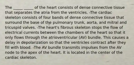 The _____ _____ of the heart consists of dense connective tissue that separates the atria from the ventricles. -The cardiac skeleton consists of four bands of dense connective tissue that surround the base of the pulmonary trunk, aorta, and mitral and tricuspid valves. -The heart's fibrous skeleton stops the flow of electrical currents between the chambers of the heart so that it only flows through the atrioventricular (AV) bundle. This causes a delay in depolarization so that the ventricles contract after they fill with blood. -The AV bundle transmits impulses from the AV node to the apex of the heart. It is located in the center of the cardiac skeleton.