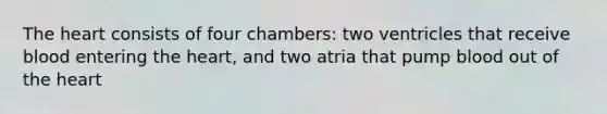 The heart consists of four chambers: two ventricles that receive blood entering the heart, and two atria that pump blood out of the heart