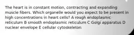 The heart is in constant motion, contracting and expanding muscle fibers. Which organelle would you expect to be present in high concentrations in heart cells? A rough endoplasmic reticulum B smooth endoplasmic reticulum C Golgi apparatus D nuclear envelope E cellular cytoskeleton