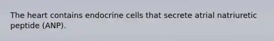 The heart contains endocrine cells that secrete atrial natriuretic peptide (ANP).