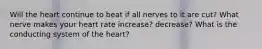 Will the heart continue to beat if all nerves to it are cut? What nerve makes your heart rate increase? decrease? What is the conducting system of the heart?