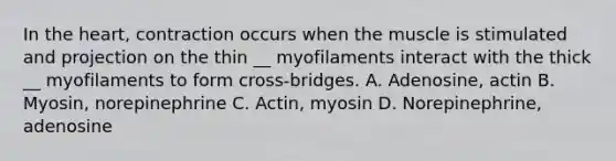 In the heart, contraction occurs when the muscle is stimulated and projection on the thin __ myofilaments interact with the thick __ myofilaments to form cross-bridges. A. Adenosine, actin B. Myosin, norepinephrine C. Actin, myosin D. Norepinephrine, adenosine