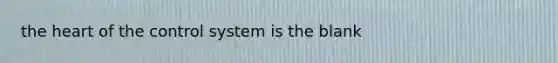 the heart of the control system is the blank