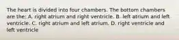 The heart is divided into four chambers. The bottom chambers are the: A. right atrium and right ventricle. B. left atrium and left ventricle. C. right atrium and left atrium. D. right ventricle and left ventricle