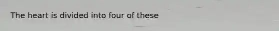 The heart is divided into four of these