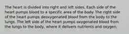 The heart is divided into right and left sides. Each side of the heart pumps blood to a specific area of the body. The right side of the heart pumps deoxygenated blood from the body to the lungs. The left side of the heart pumps oxygenated blood from the lungs to the body, where it delivers nutrients and oxygen.