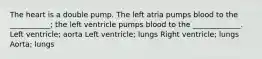 The heart is a double pump. The left atria pumps blood to the ___________; the left ventricle pumps blood to the _____________. Left ventricle; aorta Left ventricle; lungs Right ventricle; lungs Aorta; lungs