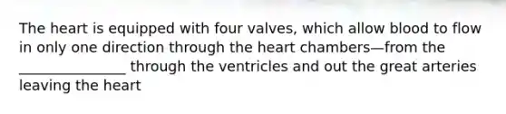 The heart is equipped with four valves, which allow blood to flow in only one direction through the heart chambers—from the _______________ through the ventricles and out the great arteries leaving the heart