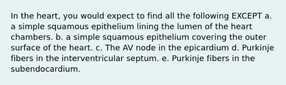 In the heart, you would expect to find all the following EXCEPT a. a simple squamous epithelium lining the lumen of the heart chambers. b. a simple squamous epithelium covering the outer surface of the heart. c. The AV node in the epicardium d. Purkinje fibers in the interventricular septum. e. Purkinje fibers in the subendocardium.