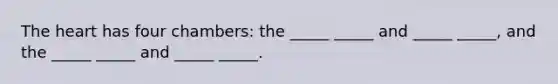 The heart has four chambers: the _____ _____ and _____ _____, and the _____ _____ and _____ _____.