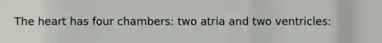 The heart has four chambers: two atria and two ventricles: