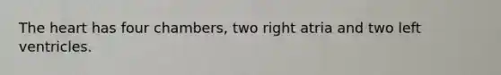 The heart has four chambers, two right atria and two left ventricles.