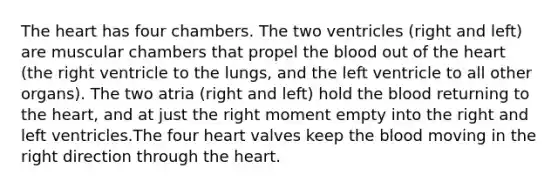 The heart has four chambers. The two ventricles (right and left) are muscular chambers that propel the blood out of the heart (the right ventricle to the lungs, and the left ventricle to all other organs). The two atria (right and left) hold the blood returning to the heart, and at just the right moment empty into the right and left ventricles.The four heart valves keep the blood moving in the right direction through the heart.