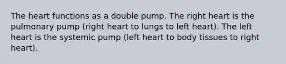 The heart functions as a double pump. The right heart is the pulmonary pump (right heart to lungs to left heart). The left heart is the systemic pump (left heart to body tissues to right heart).