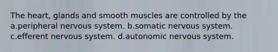 The heart, glands and smooth muscles are controlled by the a.peripheral nervous system. b.somatic nervous system. c.efferent nervous system. d.autonomic nervous system.