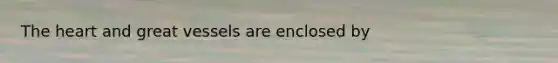 The heart and great vessels are enclosed by