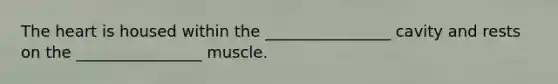 The heart is housed within the ________________ cavity and rests on the ________________ muscle.