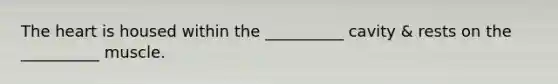 The heart is housed within the __________ cavity & rests on the __________ muscle.