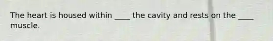 The heart is housed within ____ the cavity and rests on the ____ muscle.