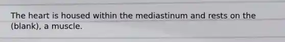 <a href='https://www.questionai.com/knowledge/kya8ocqc6o-the-heart' class='anchor-knowledge'>the heart</a> is housed within the mediastinum and rests on the (blank), a muscle.