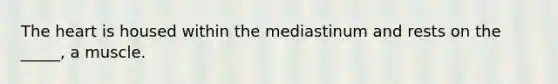 The heart is housed within the mediastinum and rests on the _____, a muscle.