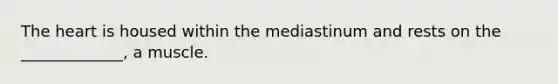 The heart is housed within the mediastinum and rests on the _____________, a muscle.