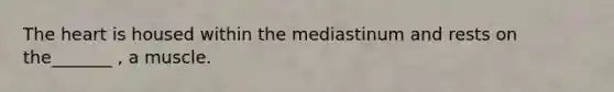 The heart is housed within the mediastinum and rests on the_______ , a muscle.