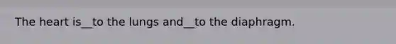 The heart is__to the lungs and__to the diaphragm.