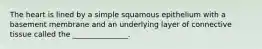 The heart is lined by a simple squamous epithelium with a basement membrane and an underlying layer of connective tissue called the _______________.