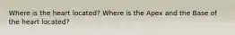 Where is the heart located? Where is the Apex and the Base of the heart located?