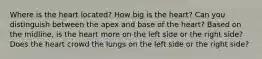 Where is the heart located? How big is the heart? Can you distinguish between the apex and base of the heart? Based on the midline, is the heart more on the left side or the right side? Does the heart crowd the lungs on the left side or the right side?