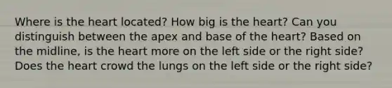 Where is the heart located? How big is the heart? Can you distinguish between the apex and base of the heart? Based on the midline, is the heart more on the left side or the right side? Does the heart crowd the lungs on the left side or the right side?