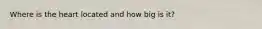 Where is the heart located and how big is it?