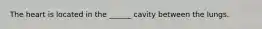 The heart is located in the ______ cavity between the lungs.