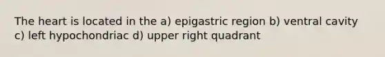 <a href='https://www.questionai.com/knowledge/kya8ocqc6o-the-heart' class='anchor-knowledge'>the heart</a> is located in the a) epigastric region b) ventral cavity c) left hypochondriac d) upper right quadrant