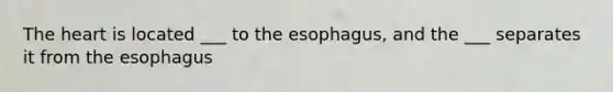 <a href='https://www.questionai.com/knowledge/kya8ocqc6o-the-heart' class='anchor-knowledge'>the heart</a> is located ___ to <a href='https://www.questionai.com/knowledge/kSjVhaa9qF-the-esophagus' class='anchor-knowledge'>the esophagus</a>, and the ___ separates it from the esophagus