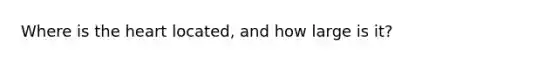 Where is the heart located, and how large is it?