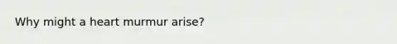 Why might a heart murmur arise?