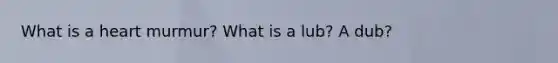 What is a heart murmur? What is a lub? A dub?