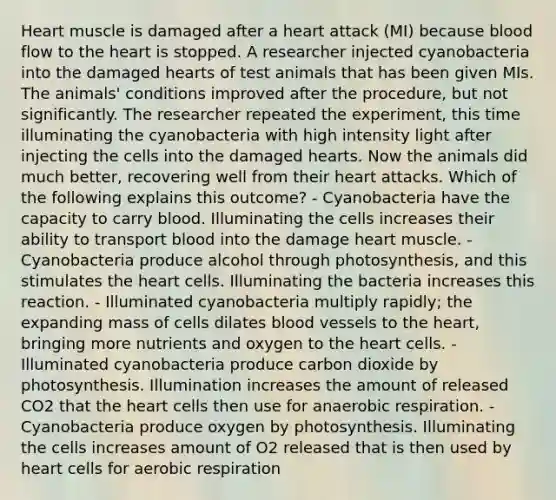 Heart muscle is damaged after a heart attack (MI) because blood flow to the heart is stopped. A researcher injected cyanobacteria into the damaged hearts of test animals that has been given MIs. The animals' conditions improved after the procedure, but not significantly. The researcher repeated the experiment, this time illuminating the cyanobacteria with high intensity light after injecting the cells into the damaged hearts. Now the animals did much better, recovering well from their heart attacks. Which of the following explains this outcome? - Cyanobacteria have the capacity to carry blood. Illuminating the cells increases their ability to transport blood into the damage heart muscle. - Cyanobacteria produce alcohol through photosynthesis, and this stimulates the heart cells. Illuminating the bacteria increases this reaction. - Illuminated cyanobacteria multiply rapidly; the expanding mass of cells dilates blood vessels to the heart, bringing more nutrients and oxygen to the heart cells. - Illuminated cyanobacteria produce carbon dioxide by photosynthesis. Illumination increases the amount of released CO2 that the heart cells then use for anaerobic respiration. - Cyanobacteria produce oxygen by photosynthesis. Illuminating the cells increases amount of O2 released that is then used by heart cells for aerobic respiration