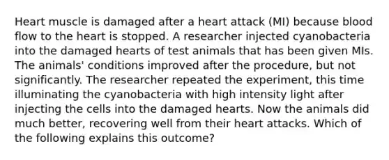 Heart muscle is damaged after a heart attack (MI) because blood flow to the heart is stopped. A researcher injected cyanobacteria into the damaged hearts of test animals that has been given MIs. The animals' conditions improved after the procedure, but not significantly. The researcher repeated the experiment, this time illuminating the cyanobacteria with high intensity light after injecting the cells into the damaged hearts. Now the animals did much better, recovering well from their heart attacks. Which of the following explains this outcome?