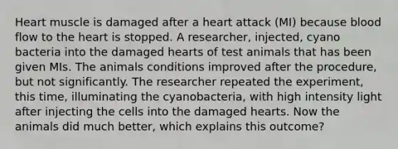 Heart muscle is damaged after a heart attack (MI) because blood flow to <a href='https://www.questionai.com/knowledge/kya8ocqc6o-the-heart' class='anchor-knowledge'>the heart</a> is stopped. A researcher, injected, cyano bacteria into the damaged hearts of test animals that has been given MIs. The animals conditions improved after the procedure, but not significantly. The researcher repeated the experiment, this time, illuminating the cyanobacteria, with high intensity light after injecting the cells into the damaged hearts. Now the animals did much better, which explains this outcome?