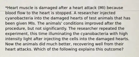 *Heart muscle is damaged after a heart attack (MI) because blood flow to the heart is stopped. A researcher injected cyanobacteria into the damaged hearts of test animals that has been given MIs. The animals' conditions improved after the procedure, but not significantly. The researcher repeated the experiment, this time illuminating the cyanobacteria with high intensity light after injecting the cells into the damaged hearts. Now the animals did much better, recovering well from their heart attacks. Which of the following explains this outcome?