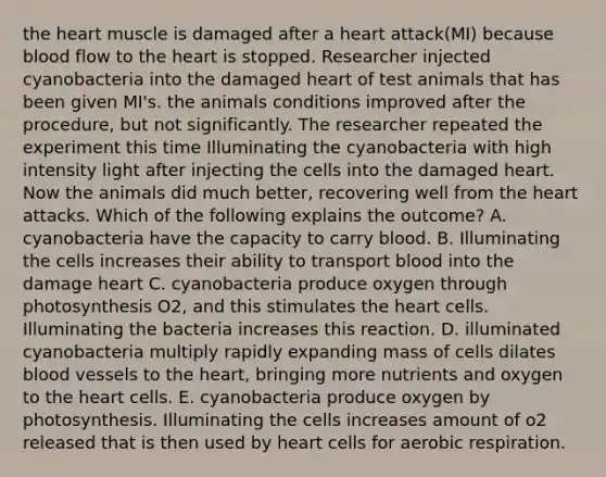 <a href='https://www.questionai.com/knowledge/kya8ocqc6o-the-heart' class='anchor-knowledge'>the heart</a> muscle is damaged after a heart attack(MI) because blood flow to the heart is stopped. Researcher injected cyanobacteria into the damaged heart of test animals that has been given MI's. the animals conditions improved after the procedure, but not significantly. The researcher repeated the experiment this time Illuminating the cyanobacteria with high intensity light after injecting the cells into the damaged heart. Now the animals did much better, recovering well from the heart attacks. Which of the following explains the outcome? A. cyanobacteria have the capacity to carry blood. B. Illuminating the cells increases their ability to transport blood into the damage heart C. cyanobacteria produce oxygen through photosynthesis O2, and this stimulates the heart cells. Illuminating the bacteria increases this reaction. D. illuminated cyanobacteria multiply rapidly expanding mass of cells dilates <a href='https://www.questionai.com/knowledge/kZJ3mNKN7P-blood-vessels' class='anchor-knowledge'>blood vessels</a> to the heart, bringing more nutrients and oxygen to the heart cells. E. cyanobacteria produce oxygen by photosynthesis. Illuminating the cells increases amount of o2 released that is then used by heart cells for <a href='https://www.questionai.com/knowledge/kyxGdbadrV-aerobic-respiration' class='anchor-knowledge'>aerobic respiration</a>.